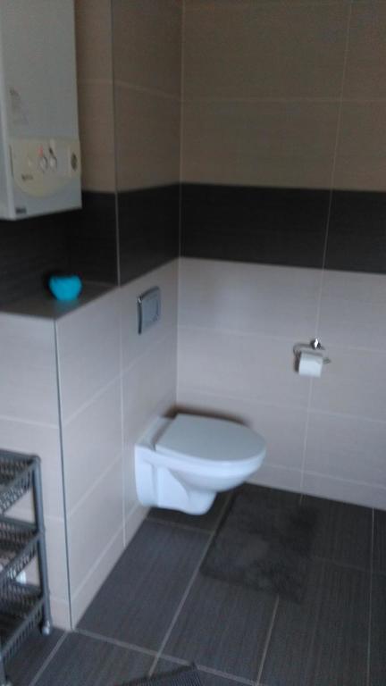 Apartament Tczew-Duze Pokoje! Eksteriør billede
