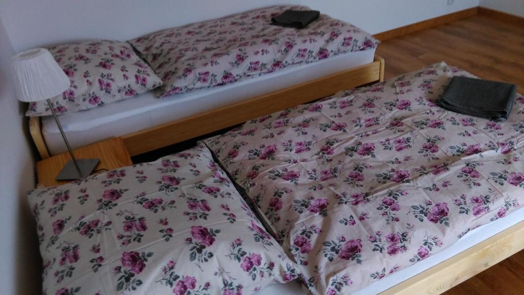 Apartament Tczew-Duze Pokoje! Eksteriør billede
